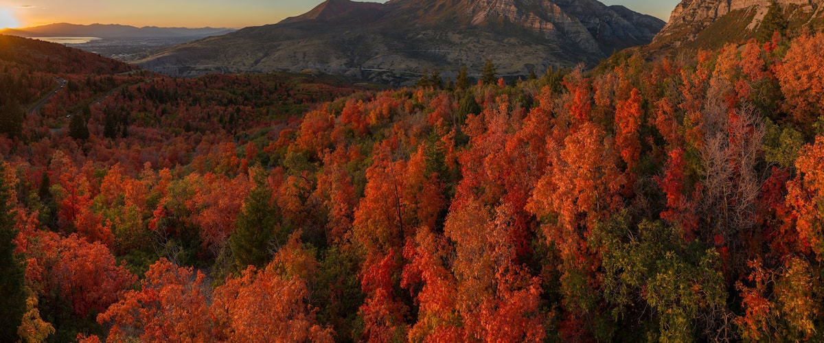 Fall Colors in Utah Mountains