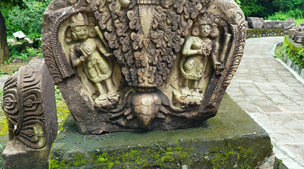 Deopahar , The Hills of the Gods , Archaeological site, 10th-11th century, Stone Sculpture, Numaligarh, Golaghat District, Assam, India,