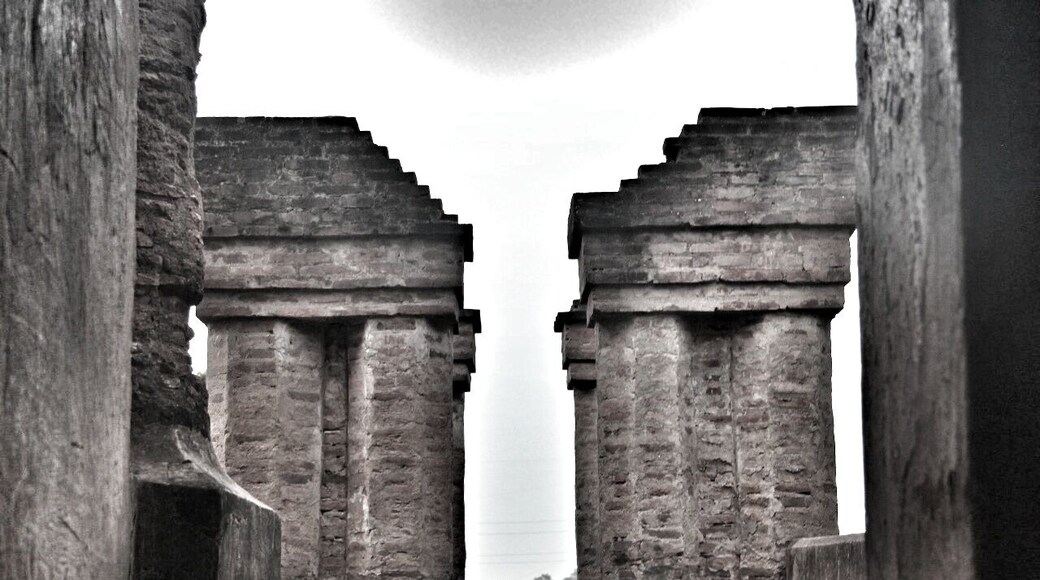 History speaks of Ahom Dynasty, Assam