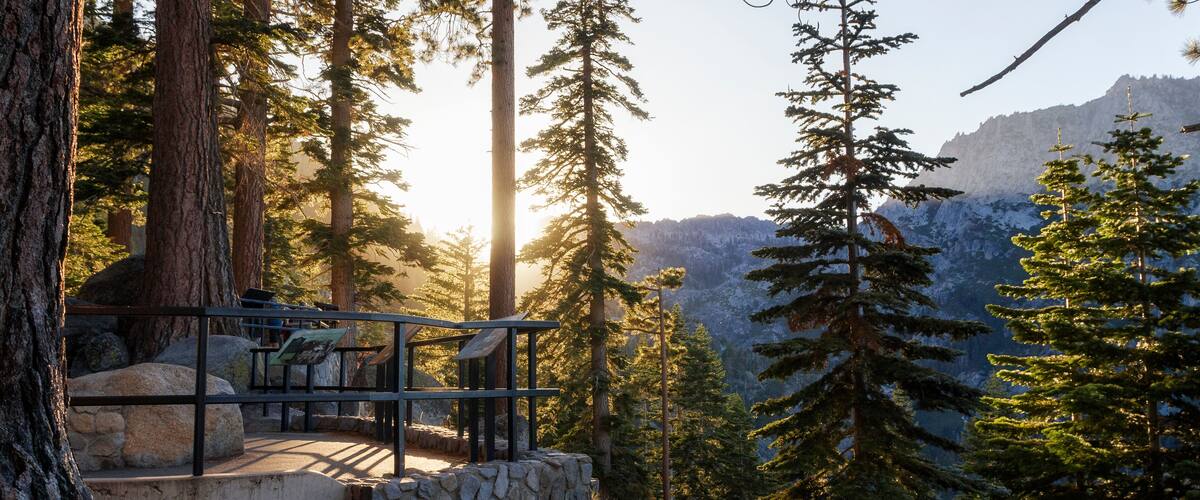 breathtaking view into the forest of emerald bay in Lake Tahoe at sunset, california