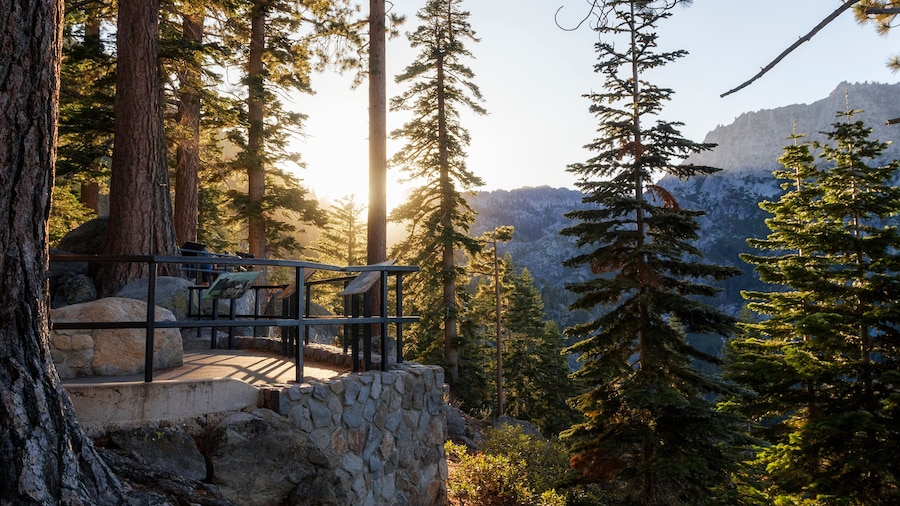 breathtaking view into the forest of emerald bay in Lake Tahoe at sunset, california