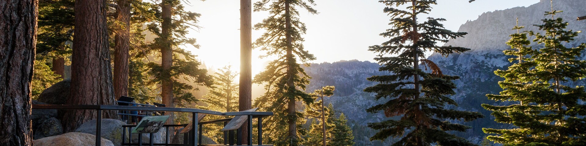 breathtaking view into the forest of emerald bay in Lake Tahoe at sunset, california
