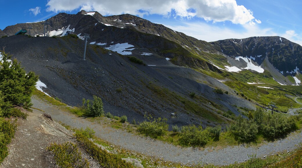 阿拉斯加空中纜車