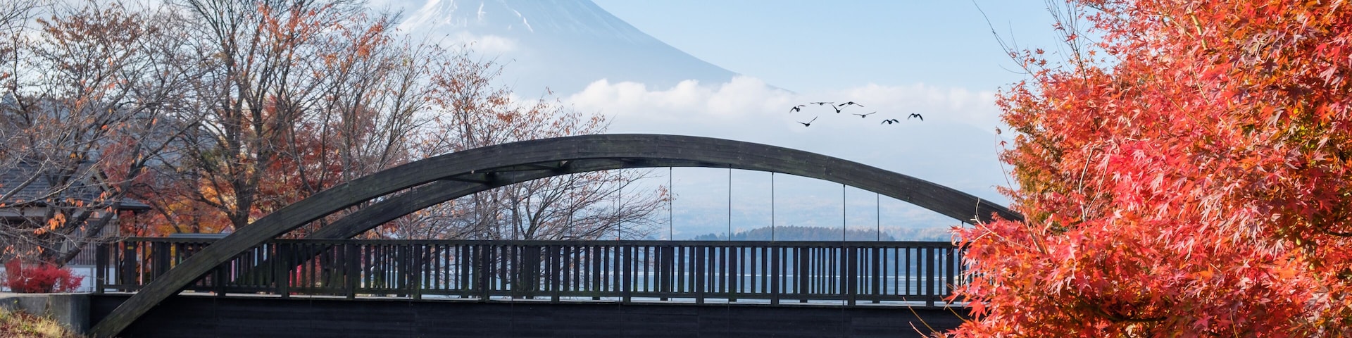 Mount Fuji with wood bridge and brid flying in autumn season at Kawaguchiko lake
