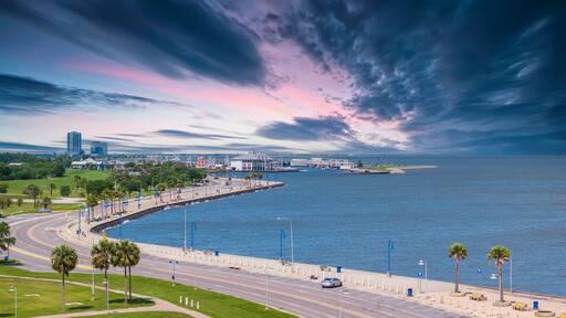 A coastal cityscape with a curved waterfront promenade, palm trees, and a distant bridge.