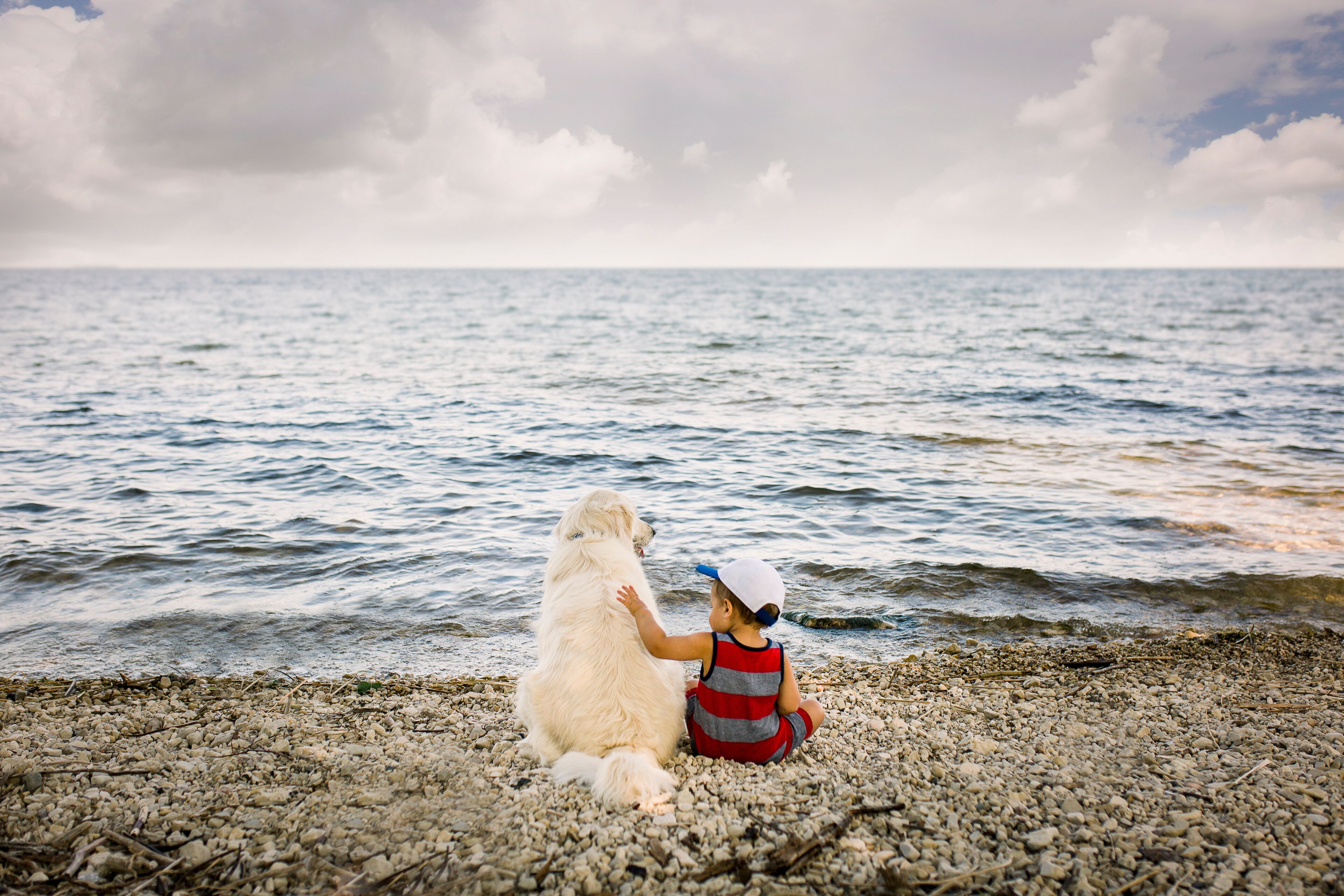 A child and a dog on a pebbly beach with the sea in the background.