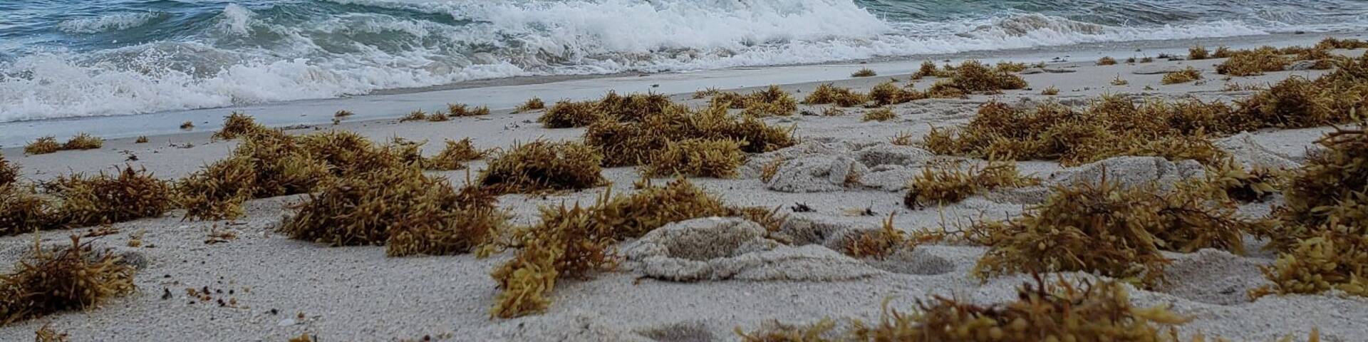 Saying goodbye to the beaches that rejuvinated us growing up. Our four month cross country camping trip stated immediately after this picture was taken. #adventure