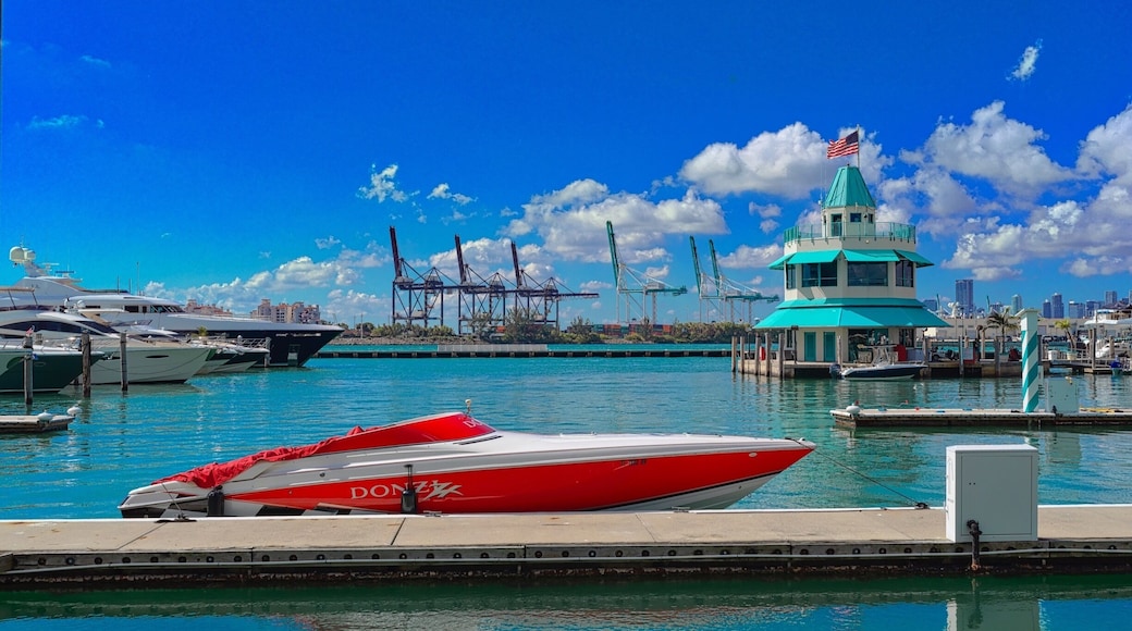 Nice color in the marina of Miami Beach