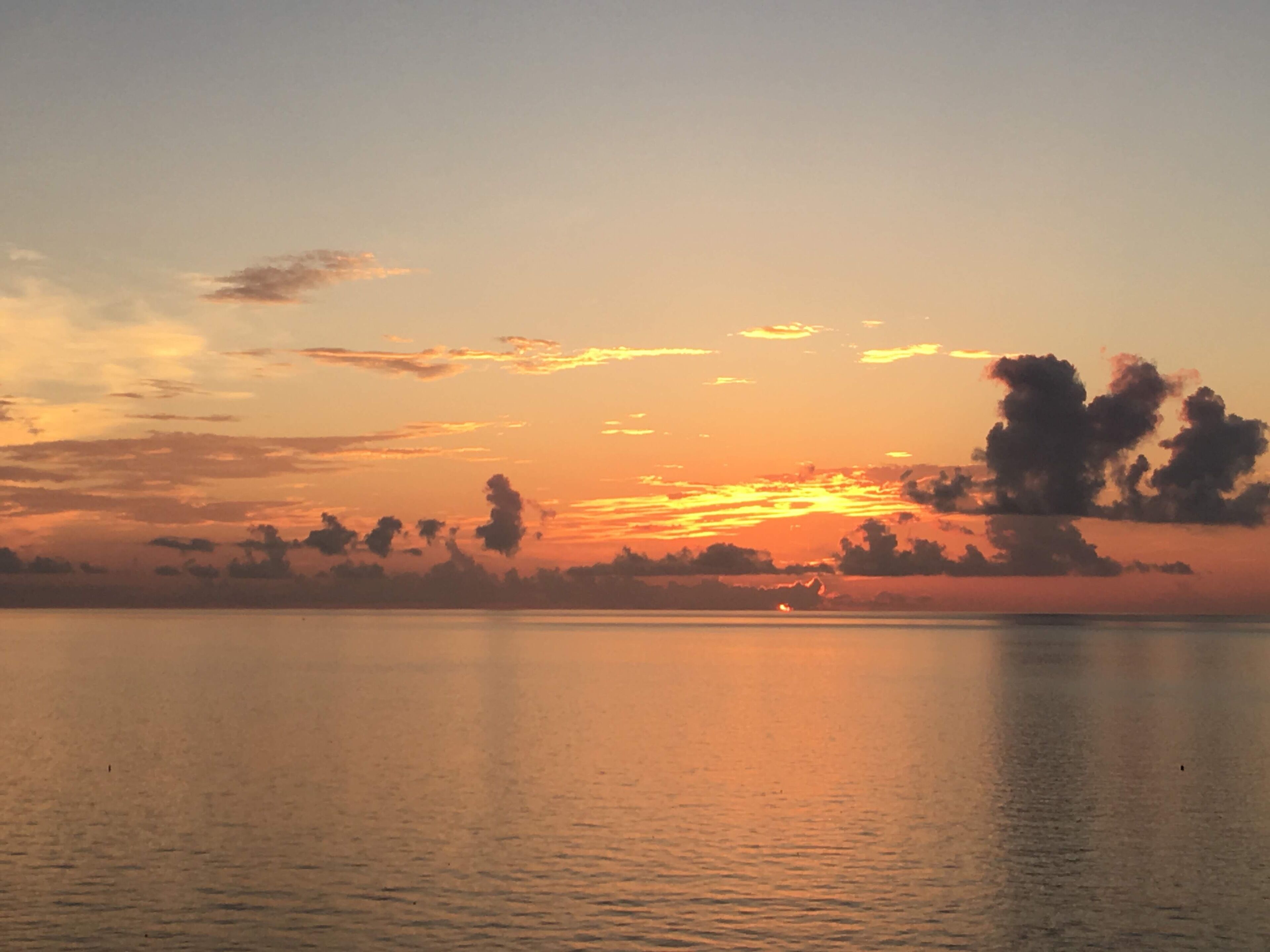 Miami sunrise ☀️🌤☀️ #EndlessSummer