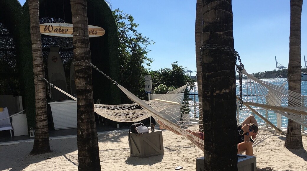 Amazing hotel to relax in miami Fl.