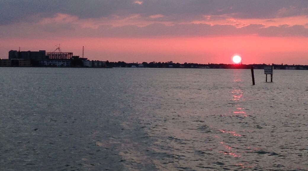 Riding my bike caught this !