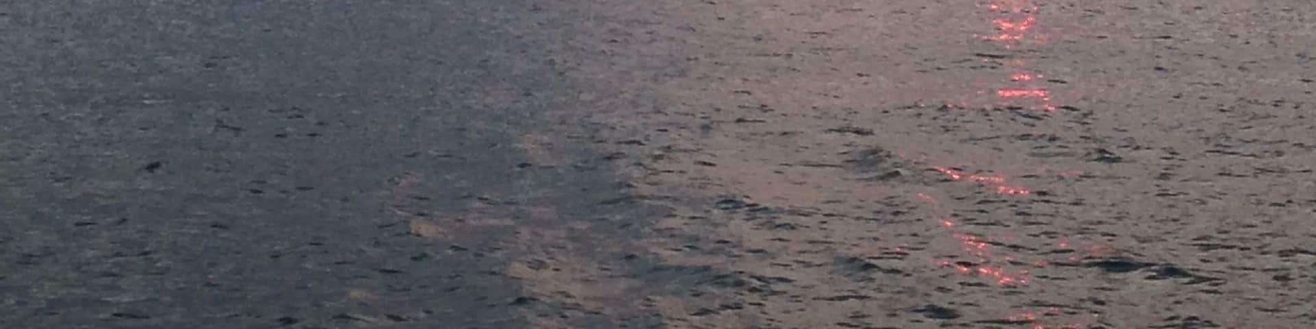 Riding my bike caught this !