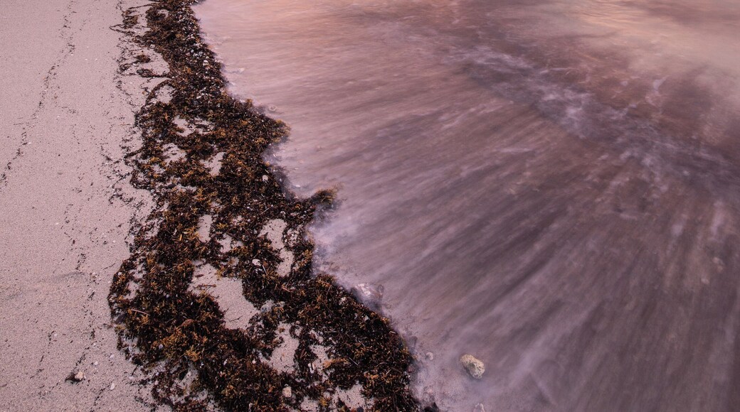 I found this location on the google maps and came there early in the morning about 40 min before sunrise. But there was a real thunderstorm with rain. I thought that it never going to stop. But in the next 30 min, I got lucky, the rain stopped and I grab this shot.