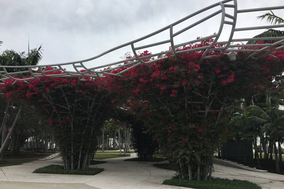 Um parque com uma estrutura metálica coberta de flores vermelhas, rodeado por palmeiras e um caminho de concreto.