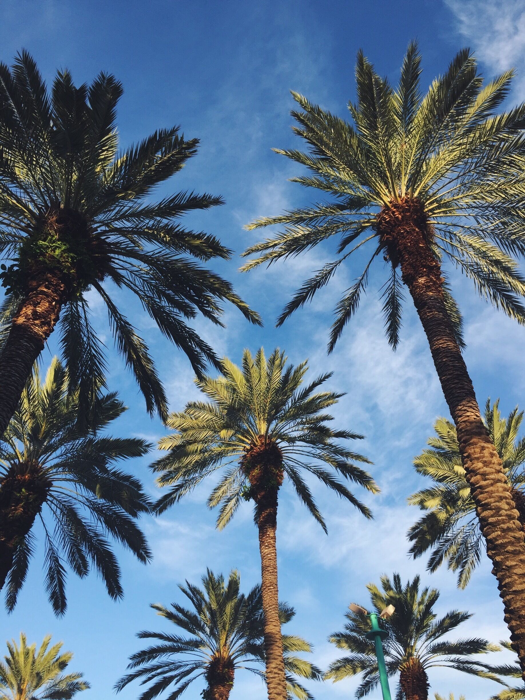 Miami Beach, Florida