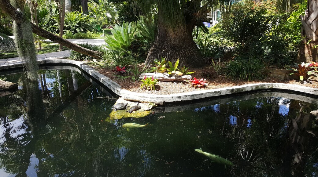 Small, well-kept garden. Free entrance.
-2019