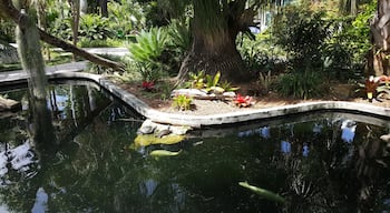 Small, well-kept garden. Free entrance.
-2019