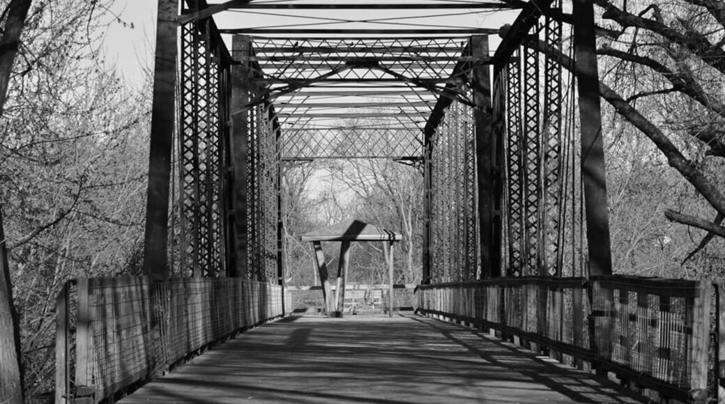 Half bridge facing the cedar river. In Muscatine, Iowa.