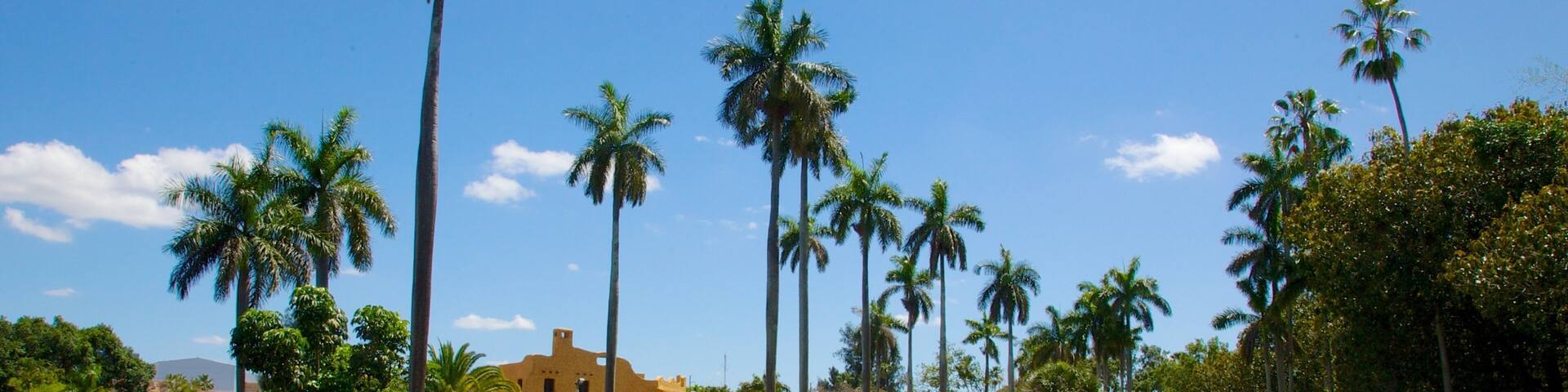 Miami Springs featuring a garden, landscape views and tropical scenes
