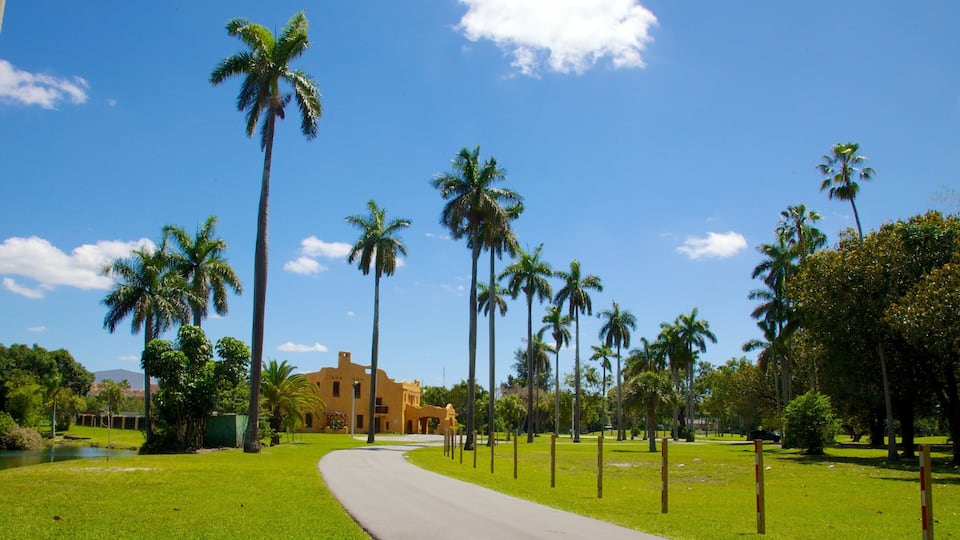 A pathway lined with palm trees and a building with a flat roof.