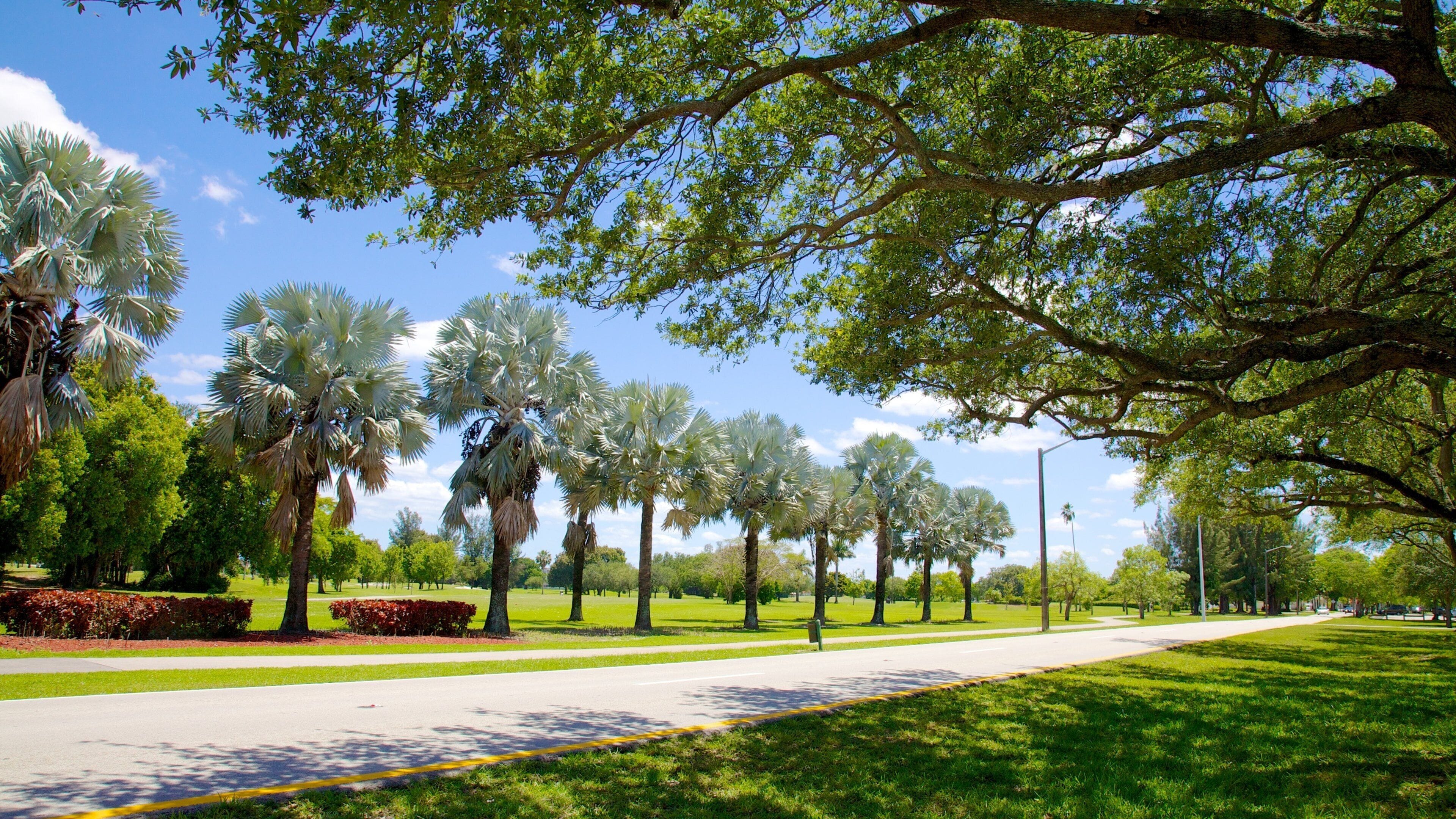 Miami Springs