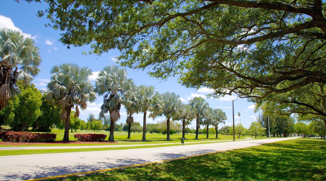 Miami Springs