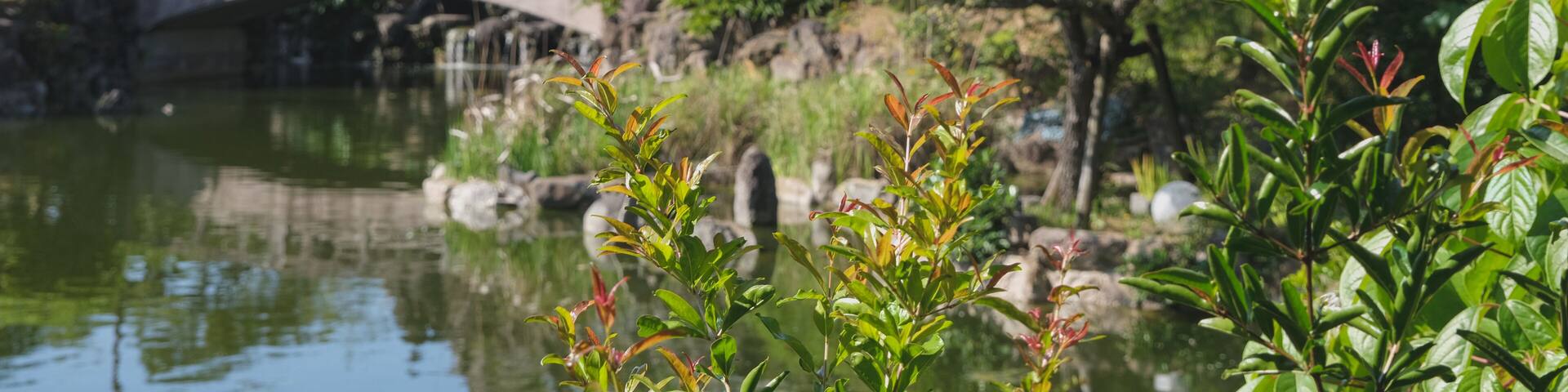 Fukushuen traditional Chinese garden in the Kume area of Naha, Okinawa Japan with pagodas and pavilions with single pond extending into most sections of the garden