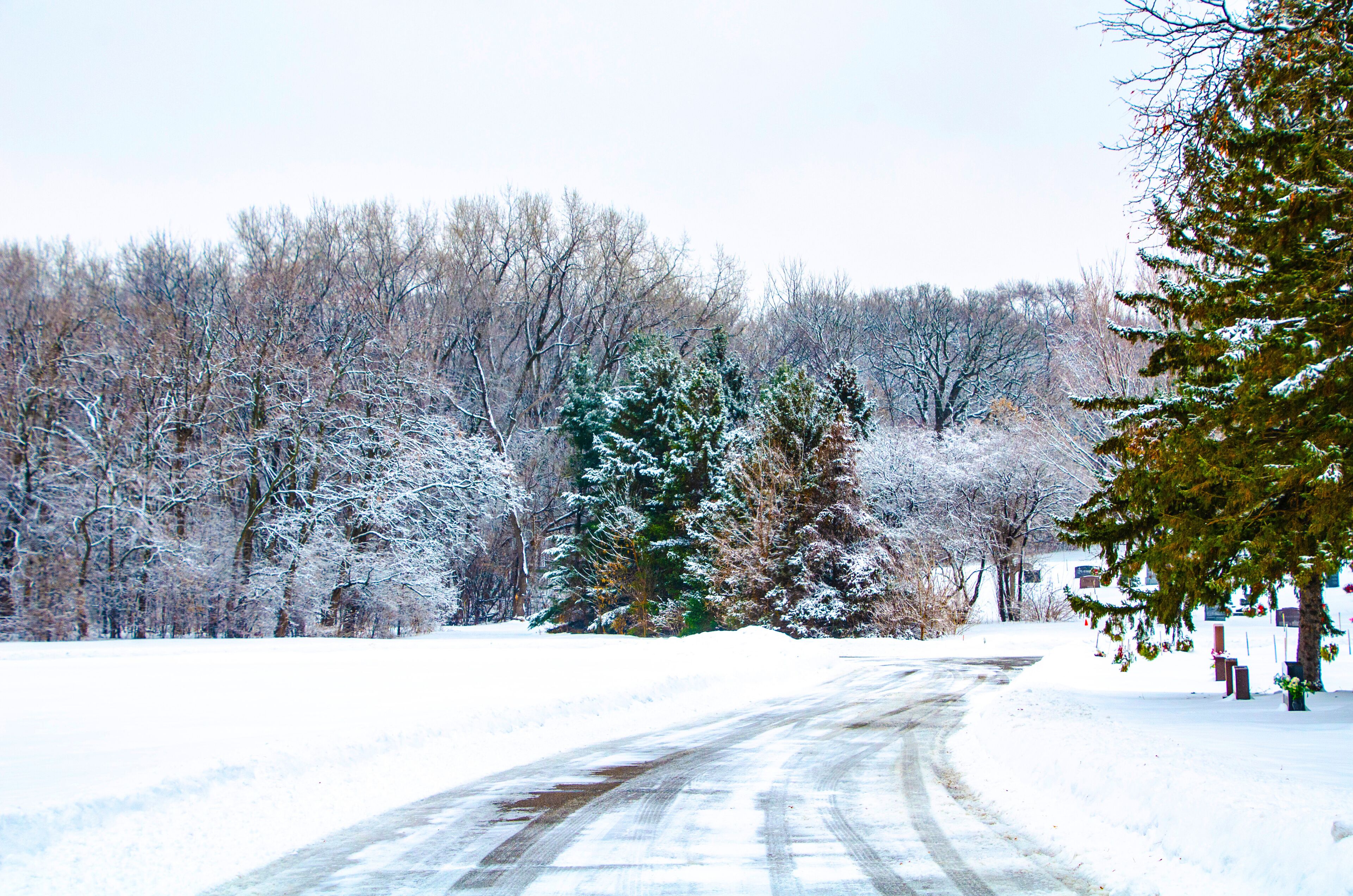 USA, Minnesota, Mendota Heights, Frosty Snow Covered bushes and Trees