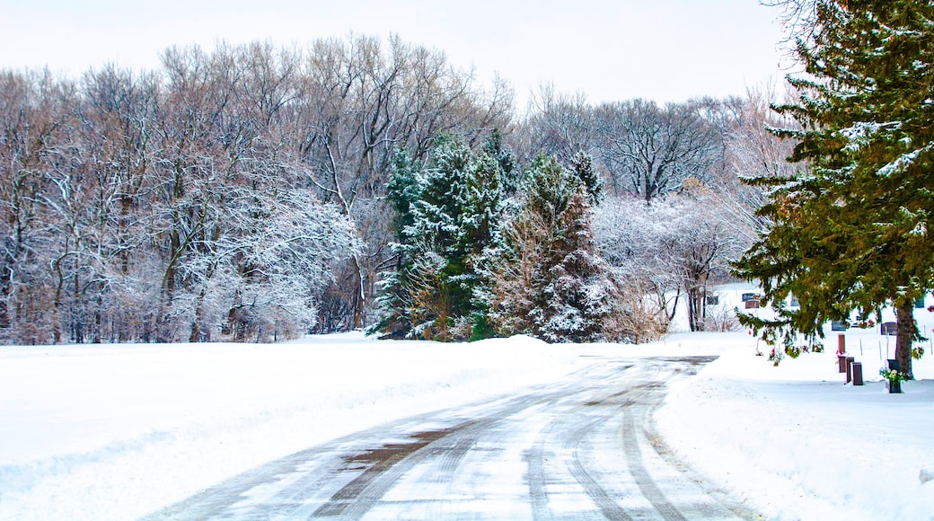 USA, Minnesota, Mendota Heights, Frosty Snow Covered bushes and Trees