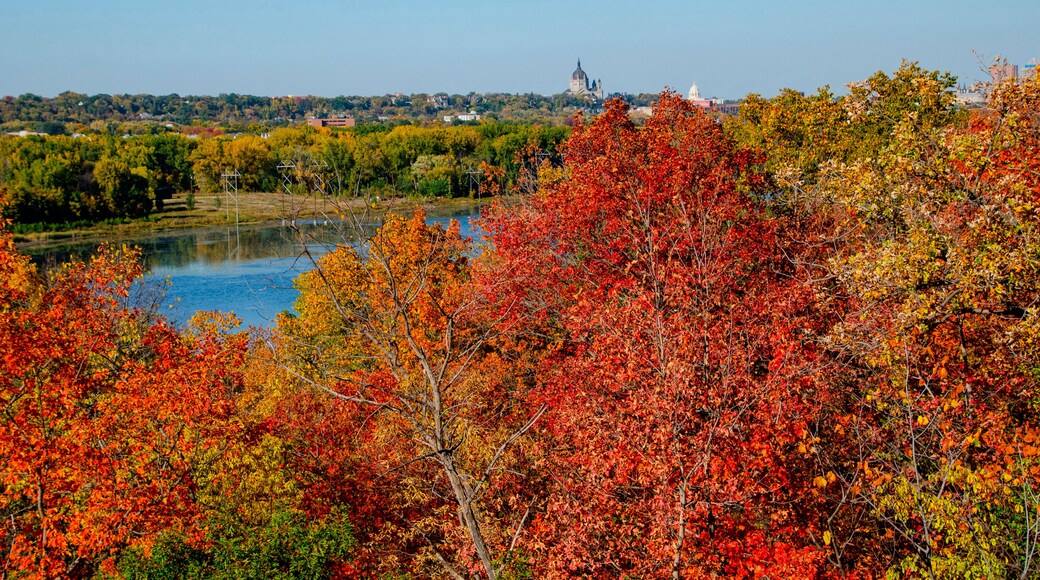 Mendota Heights