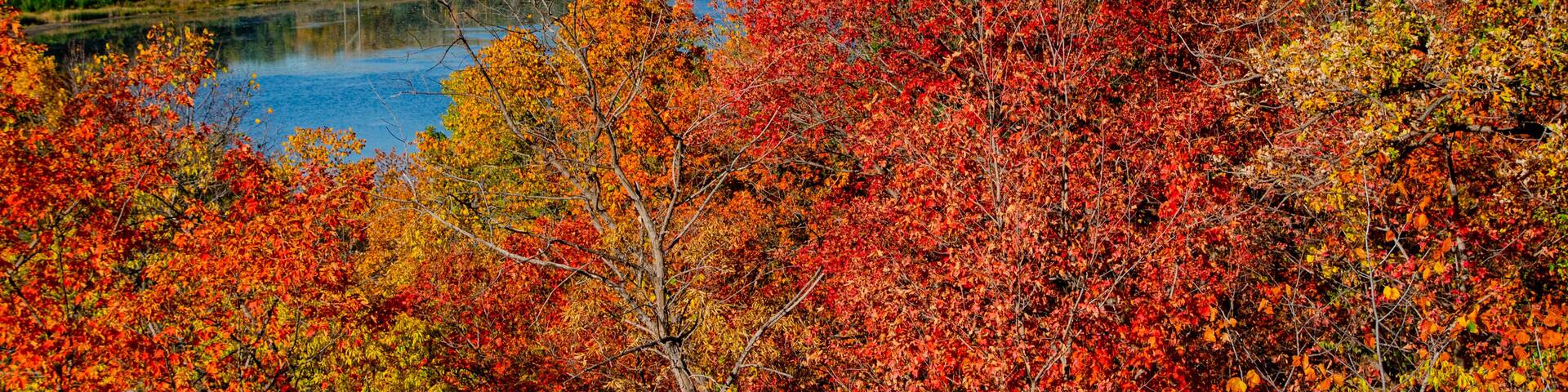 USA, Minnesota, Mendota Heights. Autum color, Mississippi River Valley