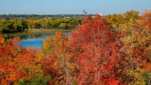 Mendota Heights