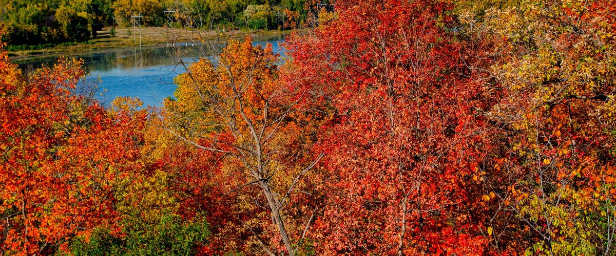 A lake surrounded by autumn-colored trees, a distant building with a dome, and a clear blue sky.