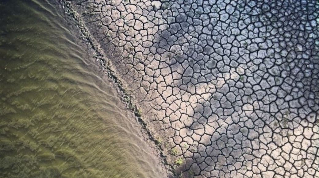 Shore of the Minnesota River from the bicycle path on the 494 bridge near Minneapolis/St. Paul border. A great bike ride along the dry river bottoms. www.bradleyhanson.com