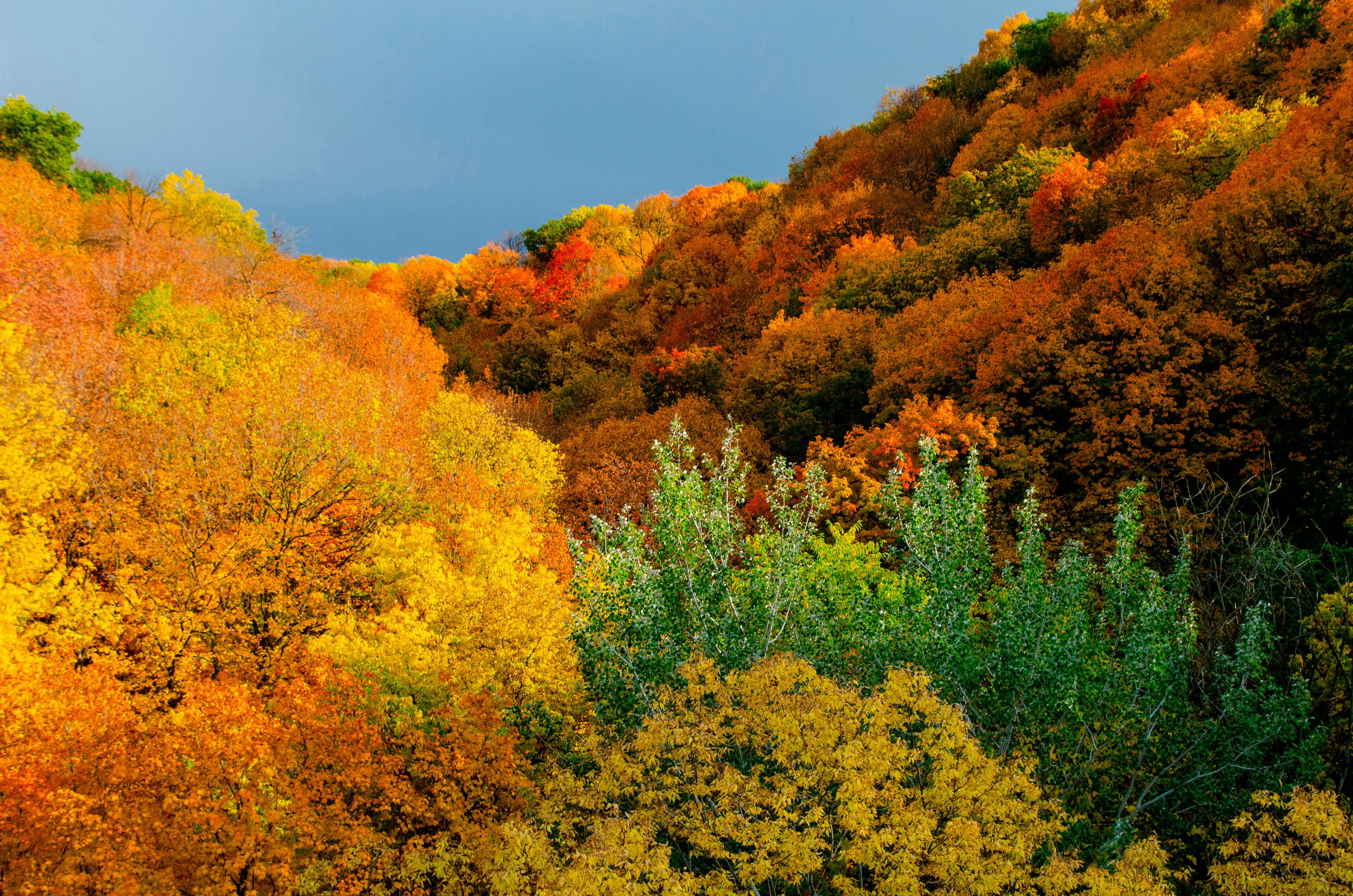 USA, Minnesota, Mendota Heights. Autum color, Ivey Falls Valley