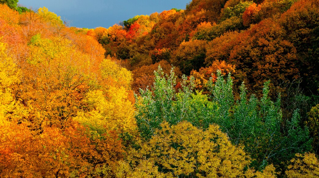 USA, Minnesota, Mendota Heights. Autum color, Ivey Falls Valley