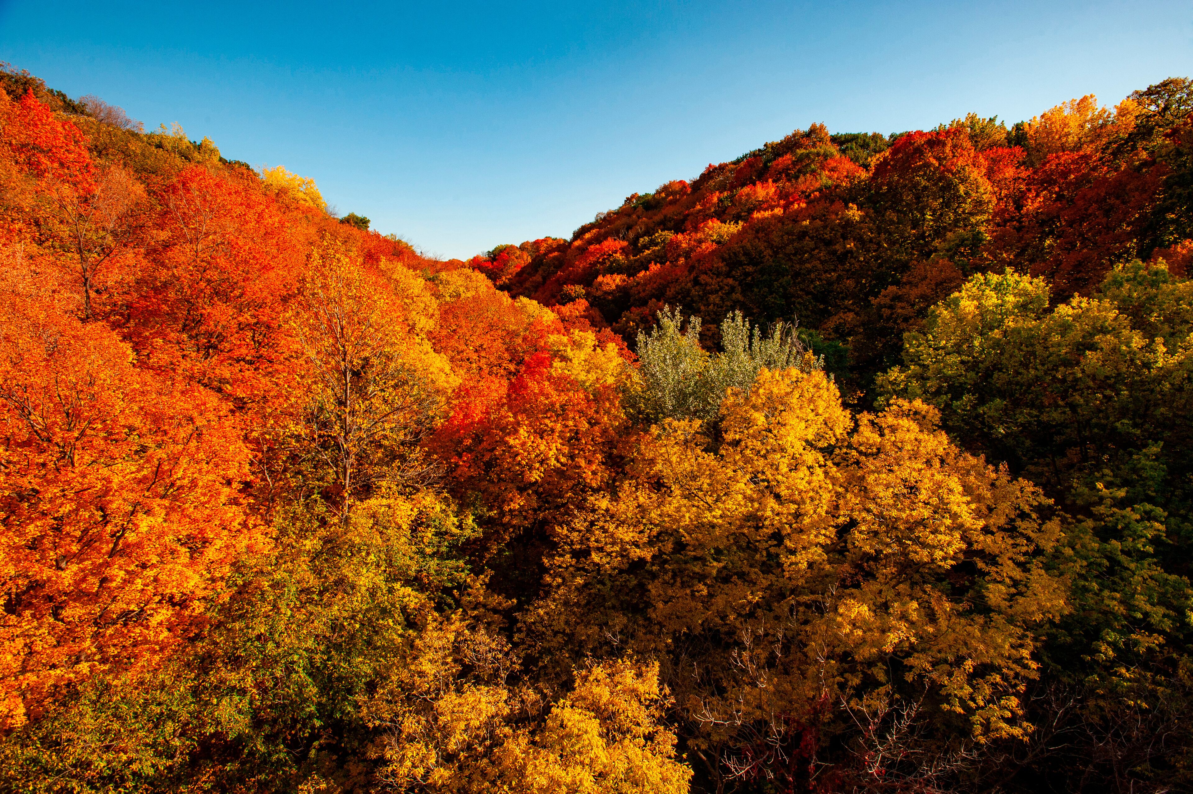 USA, Minnesota, Mendota Heights. Autum color, Ivey Falls Valley