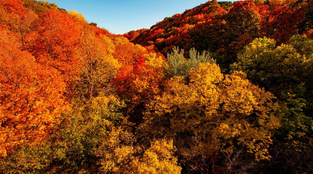 USA, Minnesota, Mendota Heights. Autum color, Ivey Falls Valley