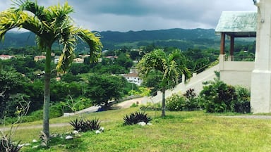 #Jamaica #aboveItall