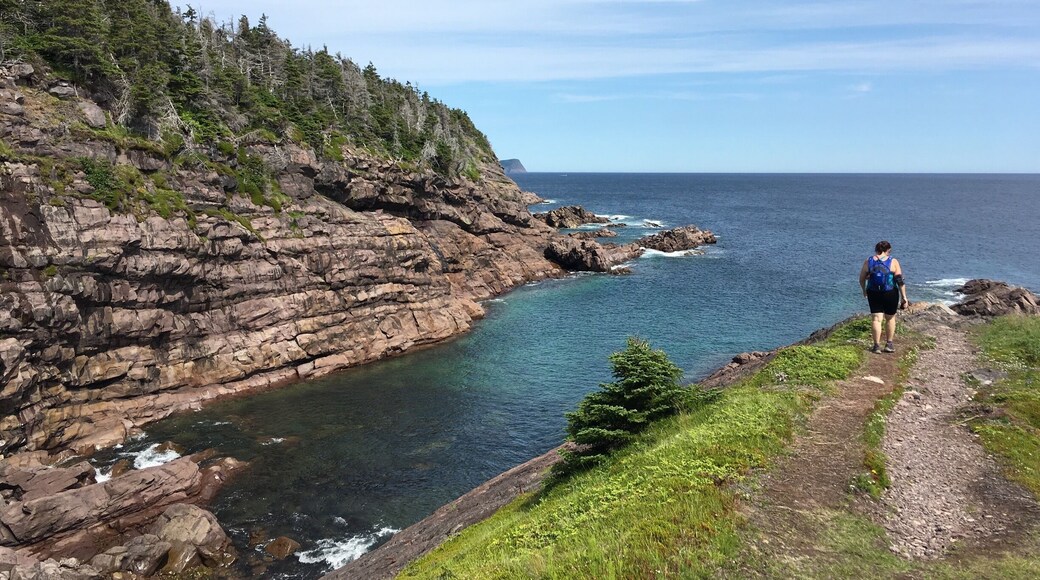 East Coast Hiking Trail, Blackhead to Cape Spear, Newfoundland #TakeAHike