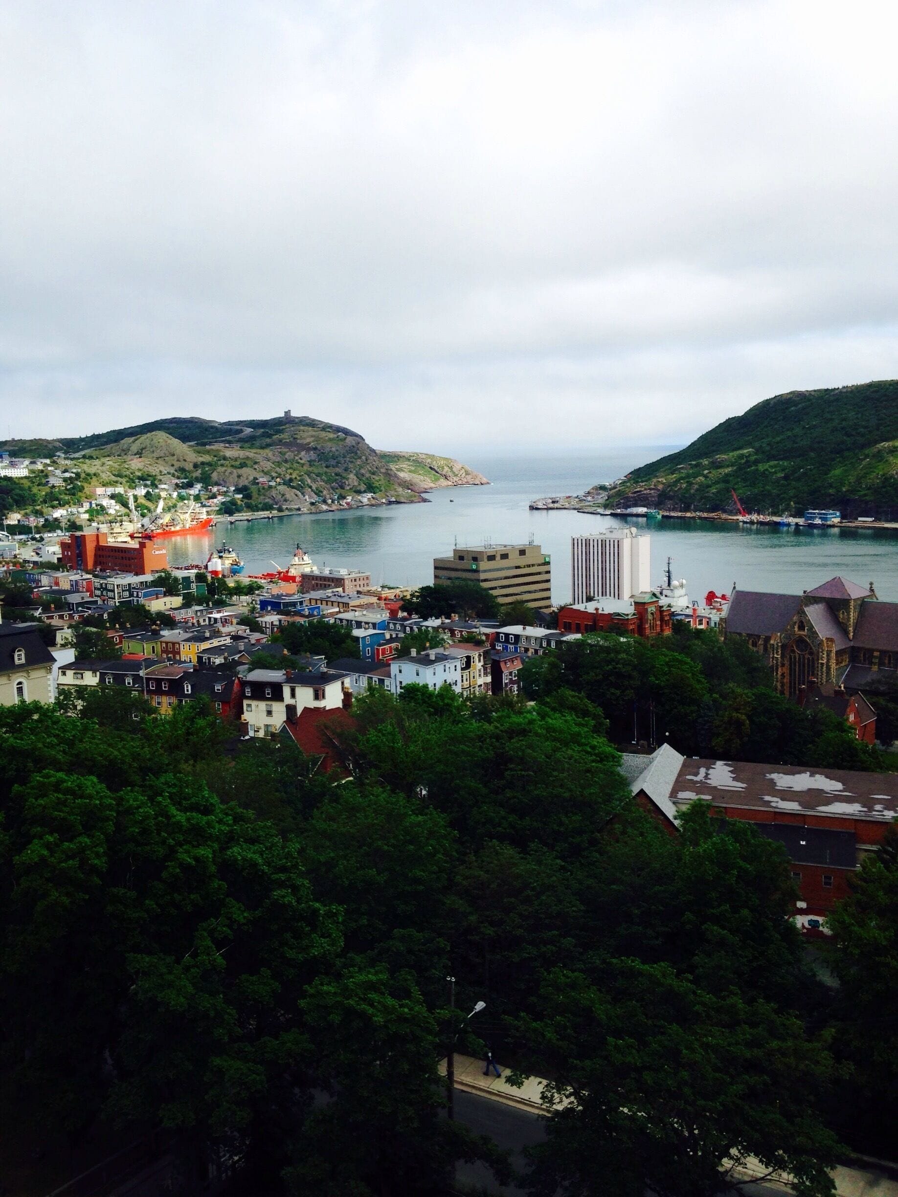 Beautiful St. John's NL #downtown 