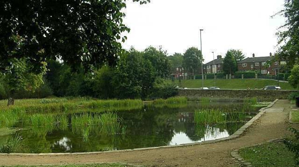 Pond - off York Road