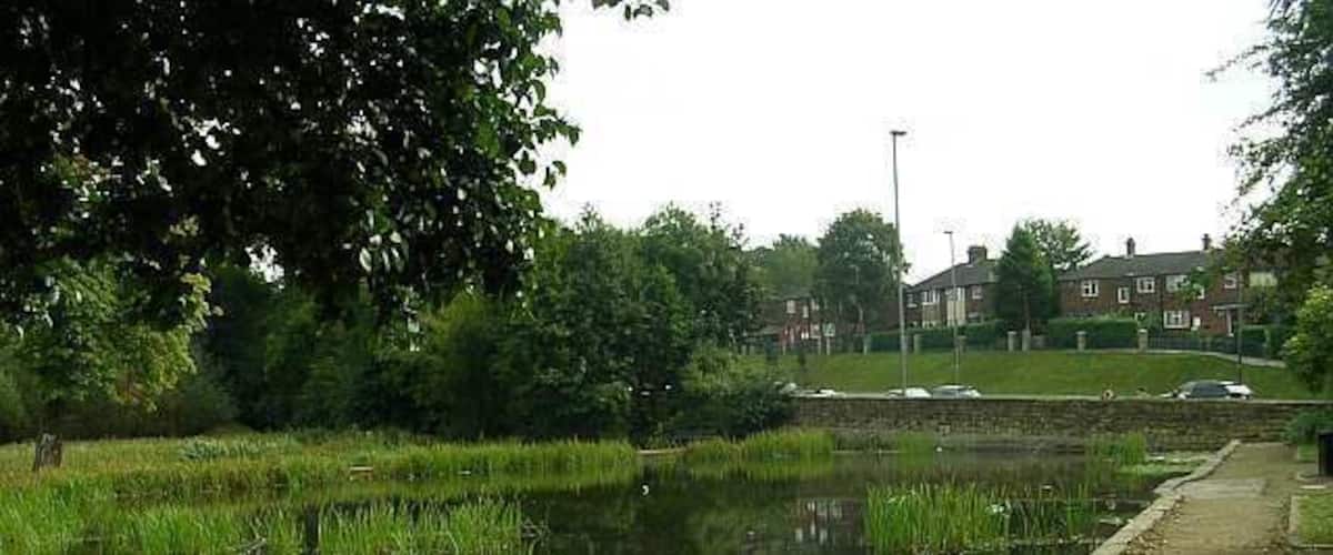 Pond - off York Road