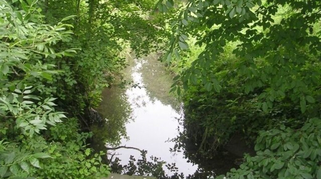 Beck - Foundry Lane, Seacroft