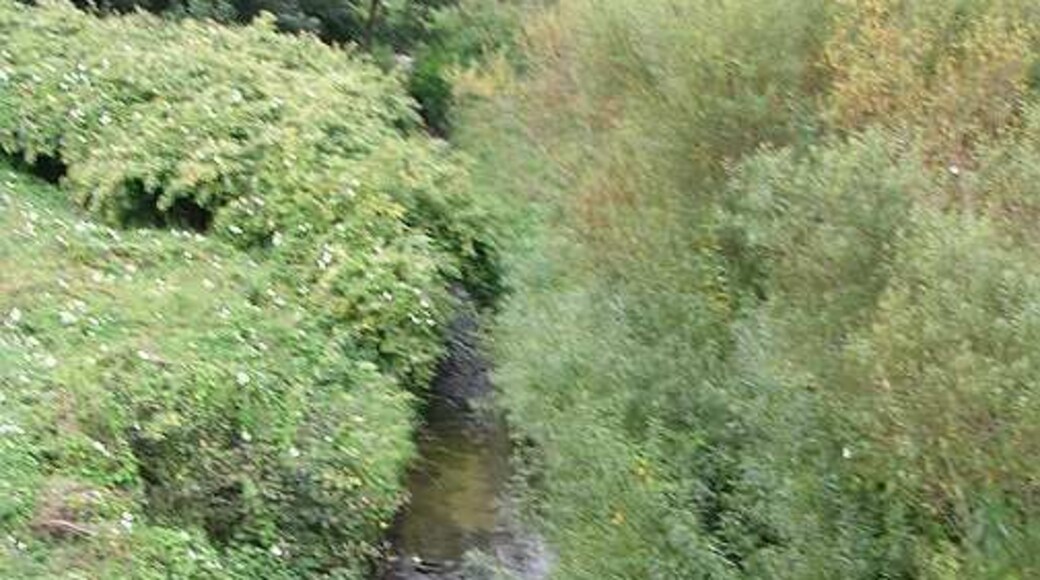 Wyke Beck - York Road