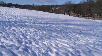 Lupton's Field, Asket Hill. A 'local green space' ideal for sledging on when snow-covered. Wetherby Road to the right.