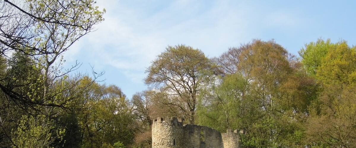 The Castle Wikidata has entry Q26547712 with data related to this item.