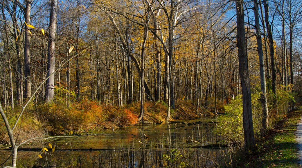 Along the Towpath Trail in the Cuyahoga Valley National Park in the Fall