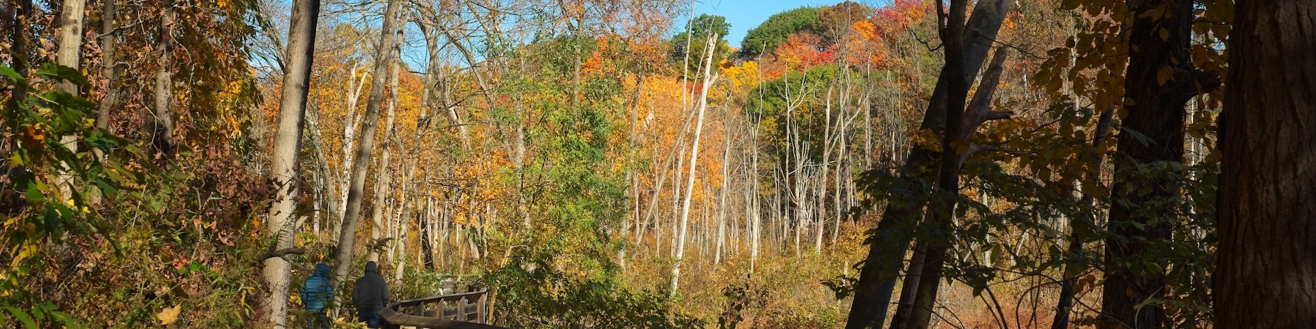 Scenic path along the valley floor amid autumn colors in Rocky River Reservation, part of the Greater Cleveland Ohio metro parks system