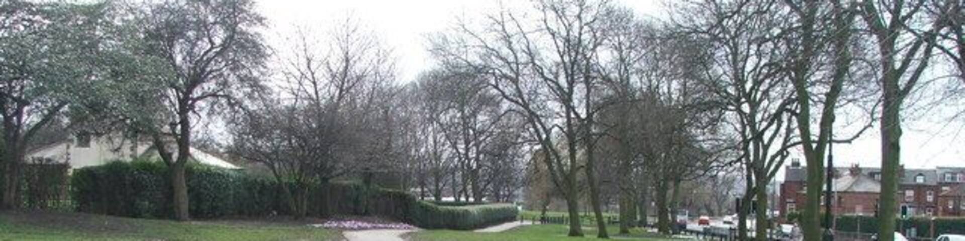 East End Park. Between Richmond Hill and Osmondthorpe, Leeds. Looking SW.